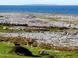 Burren coast and Aran Islands